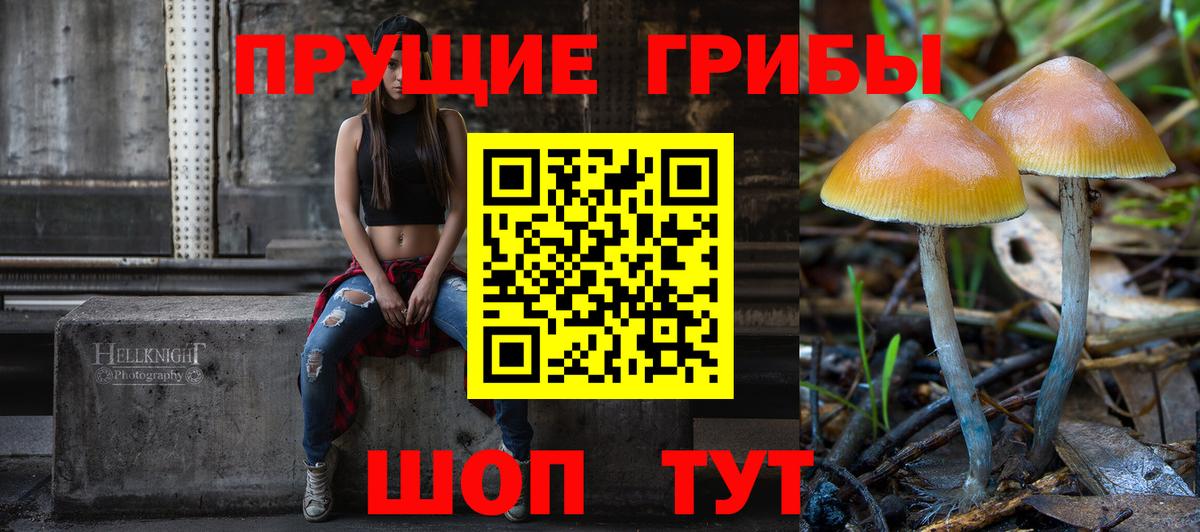Псилоцибиновые грибы мицелий Лосино-Петровский