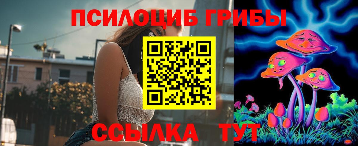 Лосино-Петровский  Псилоцибиновые грибы GOLDEN TEACHER  Вход с VPN 